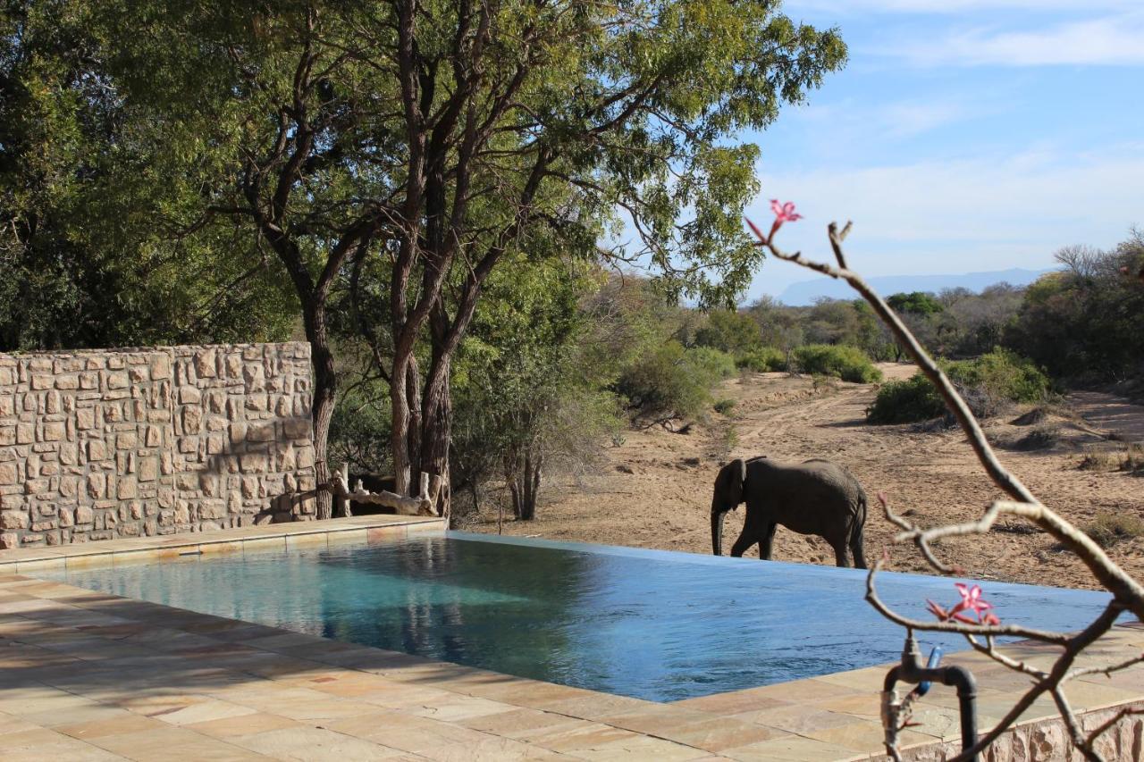 Shumbalala Game Lodge Καταφύγιο Άγριας Ζωής Thornybush Εξωτερικό φωτογραφία